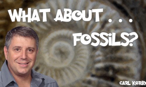 What About… Fossils?